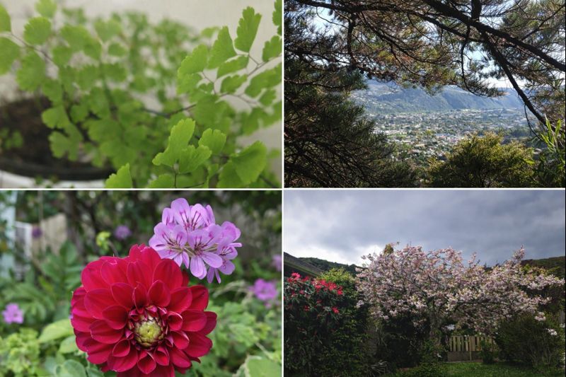 Lucky NZ Immigration Team